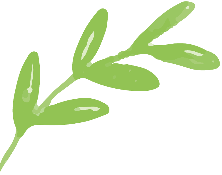 Greek Natura Stuttgart